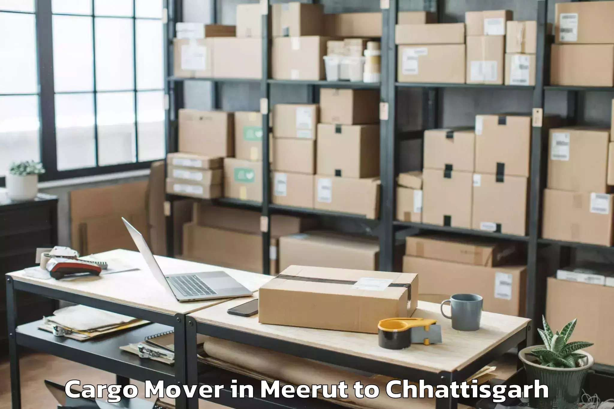 Book Meerut to Raipur Cargo Mover Online